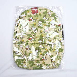《郵送無料》■Ijinko◆新品☆37cmX46cmスヌーピーバックパック