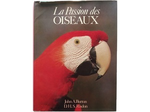  foreign book * bird. photoalbum book