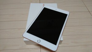 iPad mini Wi-Fi 256GB ゴールド 2019 美品