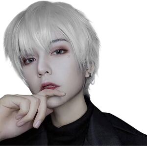 ウィッグ かつら フルウィッグ メンズ ショート 原宿 イケメン ハンサム