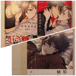BL 恋愛感情論1~2巻 ディレイル 相葉キョウコ 3冊セット