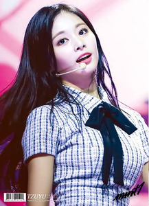 【ヨーダの魅力たっぷり】 TWICE ツウィ TZUYU トゥワイス プレミアム フォトブック 写真集 韓流 K-POP アイドル 犬