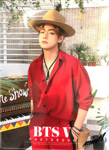 【四次元の魅力たっぷり】 BTS V 防弾少年団 テテ フォトブック 写真集 Photobook 韓流 K-POP アイドル 歌手