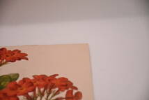 フランスアンティーク 博物画 植物画『Rondeletia speciosa』 多色刷り石版画　ボタニカルアート_画像4