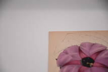 フランスアンティーク 博物画 植物画『紫のお花』 多色刷り石版画　ボタニカルアート_画像3