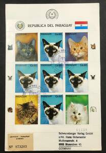 pa rug I 1989 year issue cat stamp small size seat FDC First Day Cover . seal un- clear 