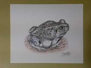  point .. art frog 