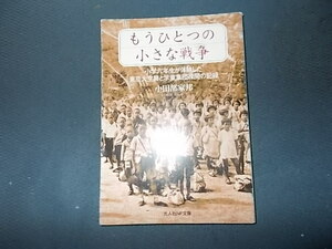 もうひとつの小さな戦争　小学六年生が体験した東京大空襲と学童集団疎開の記録