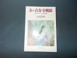 ああ青春零戦隊　猛烈に生きた二十歳の青春