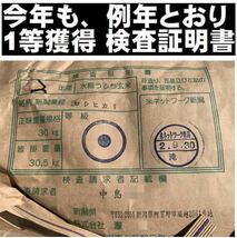 5か、ゾロ目の付く日特価　新米・令和3年産新潟コシヒカリ　白米5kg×4個★農家直送★色彩選別済_画像2