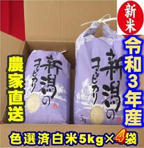 5か、ゾロ目の付く日特価　新米・令和3年産新潟コシヒカリ　白米5kg×4個★農家直送★色彩選別済_画像1