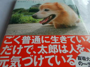 障害犬　タローの毎日　☆すべての脚を失った　捨て犬の　涙と笑いの11年