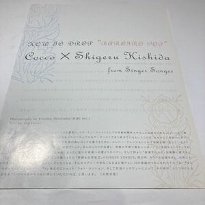 B-13　切り抜き　貴重！　COCCO　岸田