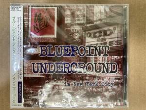 ★即決CD BLUE POINT UNDERGROUND ine new york city JPN captain trip 未開封CD ctcd161 Neu! Kraftwerk 