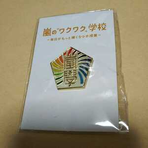 校章バッジ　嵐のワクワク学校2012