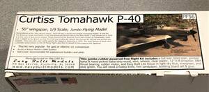 【ゴム動力機】Easy Built製Curtiss Tomahawk P-40（翼長：50”）・・・1