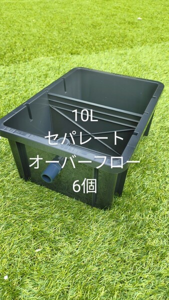 メダカ容器 6個 仕切りあり 10L オーバーフロー機能