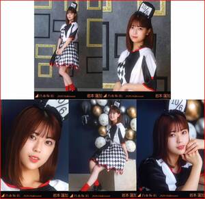 乃木坂46 岩本蓮加 2020年10月個別生写真5枚セット ハロウィン2020 5種コンプ 5枚 5枚コンプ Halloween