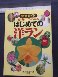 【クリックポスト】『完全ガイド　育て方のコツがわかる　はじめての洋ラン』