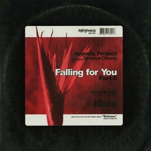 試聴 Ananda Project Featuring Terrance Downs - Falling For You (Part II) [12inch] Nite Grooves US 2001 Houseの画像1