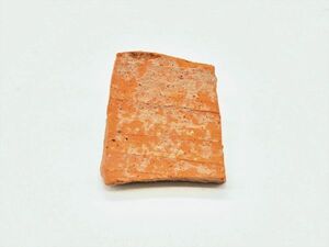 【ペトロ遺跡　陶片集】　ヨルダン　世界遺産　ビザンチン時代　　 　　　　L0325F