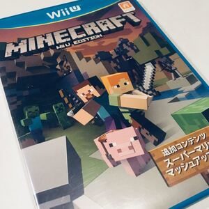 MINECRAFT: Wii U EDITION マインクラフト