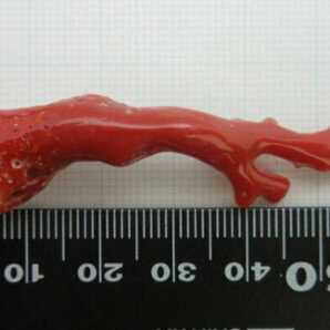 【TOP】血赤珊瑚 サンゴ 4.9g 枝 ルース 根付 g825.