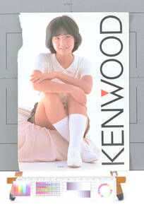 [Vintage]1980s PLAYBOY? KENWOOD/PRINT GOOCO(Takeshi Kitano) Advertising Catalogカタログ(富田靖子/北野武) Pin-Up[tag88グラ] 