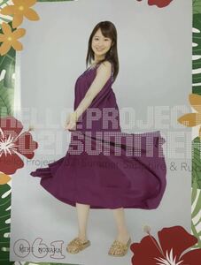 【野中美希・61】コレクションピンナップポスター ピンポス Hello! Project Hello! 2021 Summer Sapphire & Ruby