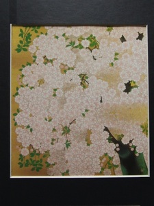 Art hand Auction Meiji Hashimoto, Asahizakura, Rare framed art book, In good condition, New with frame, cherry blossoms, Landscape, The Four Seasons of Japan, New with frame, free shipping, Painting, Oil painting, Nature, Landscape painting