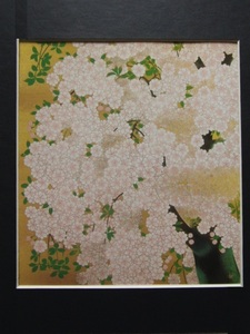 橋本　明治、朝陽桜、希少・画集額装画、状態良好、新品額付き、さくら、風景、日本の四季、新品額付き、送料無料