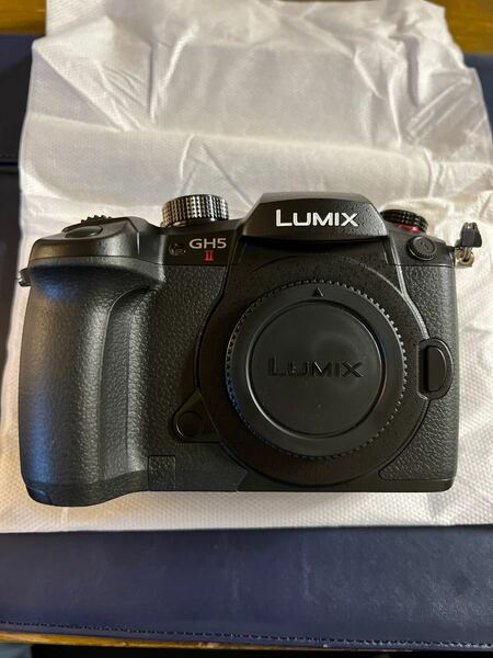 LUMIX Panasonic パナソニック ミラーレス一眼カメラ DC-GH5M2