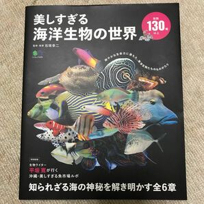 美しすぎる海洋生物の世界 (エイムック 4428)