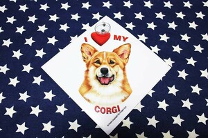 コーギー 雑貨 吸盤付きプレート I LOVE MY CORGI プラスチックプレート コーギー グッズ