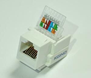 RJ45 LANケーブル 端末 圧着工具不要 コネクタ メス 通信ケーブル かんたん工具無 壁面端子 ローゼット用 PC周辺機器 Cat6用 1個