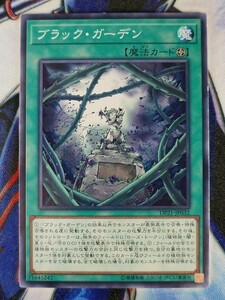 ◆B4443◆遊戯王OCG・ブラック・ガーデン ノーマル DP21-JP032◆