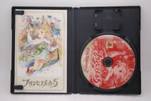 PS2 ゲームソフト 「プリンセスメーカー5」検索:プレイステーション2 PlayStation2 GAINAX Princess Maker 5 SLPM66918_画像4