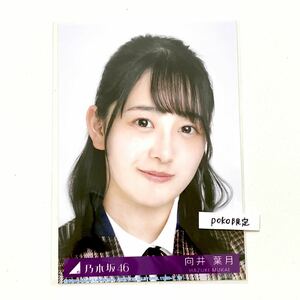 乃木坂46 生写真 1枚 向井葉月　ヨリ　君に叱られた CD封入特典 28th 制服ver (ABCD