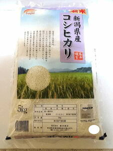 【送料無料】令和5年度産 新米5キログラム×3　新潟県産こしひかり