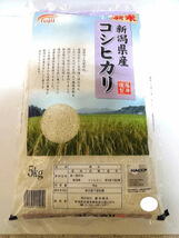 【送料無料】令和5年度産 新米5キログラム×10　新潟県産こしひかり_画像1