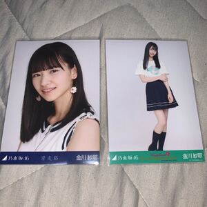 乃木坂 生写真 金川紗耶