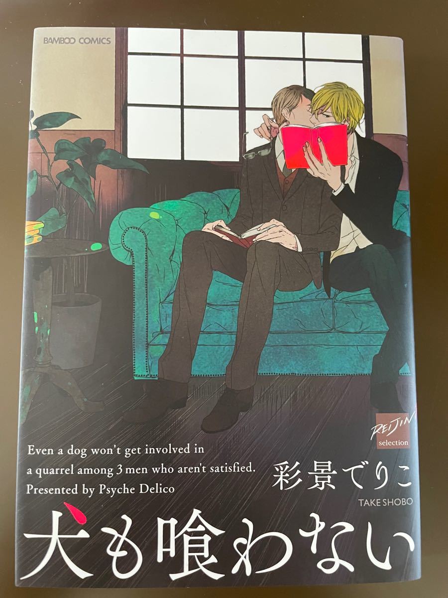 低価格化 彩景でりこ先生12冊セット Www Hallo Tv