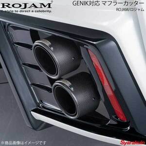 ROJAM ロジャム GENIK対応 マフラーカッター 真円 90φ/カーボンタイプ ハリアー ZSU60W 2WD 2.0L 2013/12～2020/5 34-13-ha60