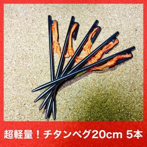 チタンペグ 20cm 5本 テント タープ 設営 キャンプ アウトドア 超軽量 登山 ソロキャンプ