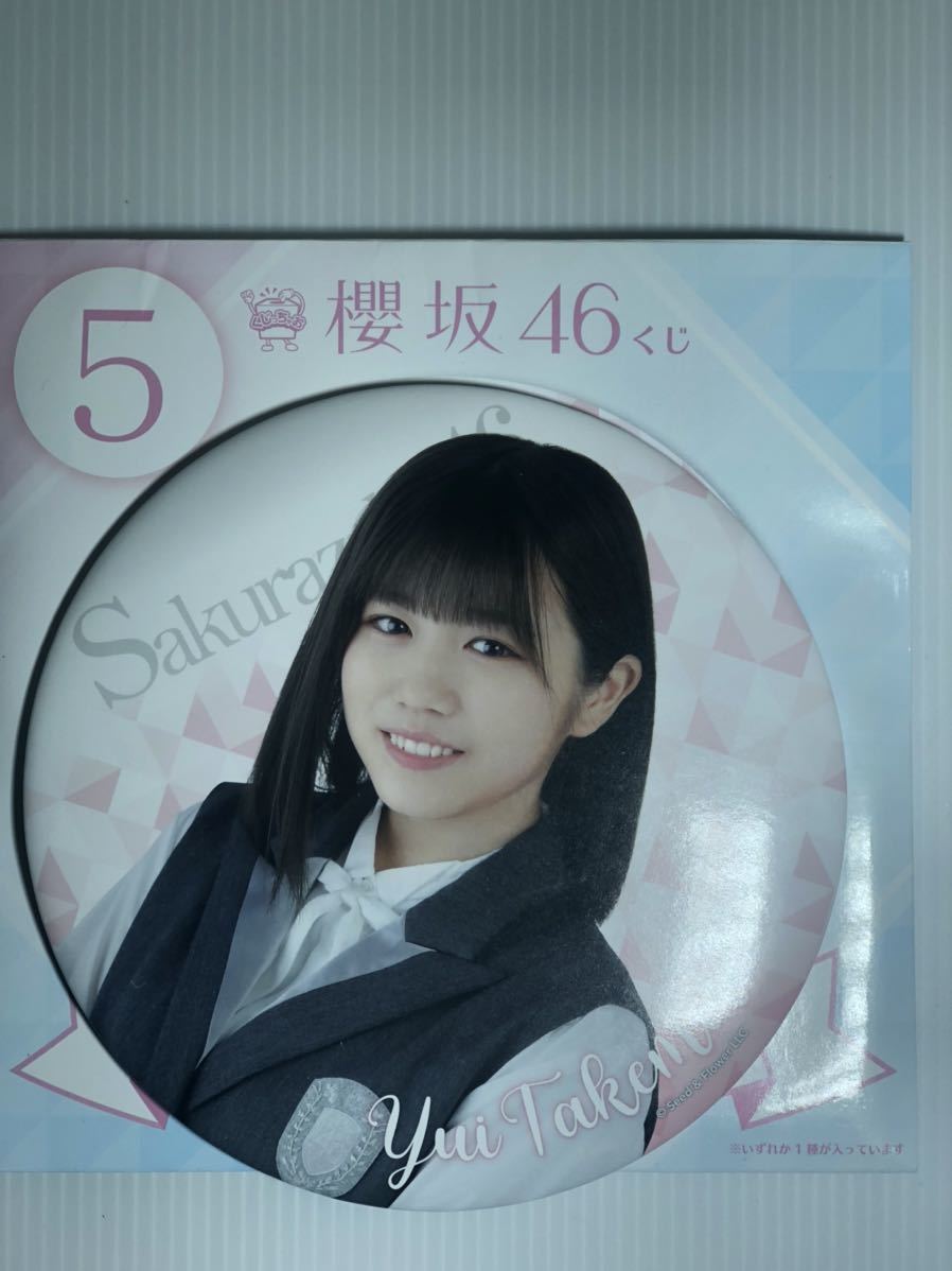 櫻坂46 くじっちゃお 100名限定 キャリーケース cmug.mx