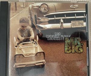 MR.BIG BIG BIGGFR BIGGEST!.. card-case attaching 