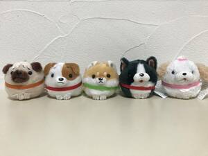 wa... mascot | all 5 kind ( Pug * Jack russell terrier *. dog * Boston terrier * She's -)