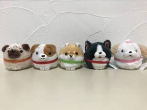 wa... mascot | all 5 kind ( Pug * Jack russell terrier *. dog * Boston terrier * She's -)