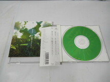 KN3037/CD/井上陽水/夢の中へ/帯付き/ベスト/アルバム/POCH-1797/中古品/_画像3