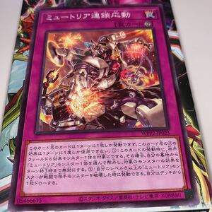 ミュートリア連鎖応動 WPP2-JP025 遊戯王OCG WORLD PREMIERE PACK 2021